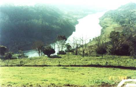 Erval Grande