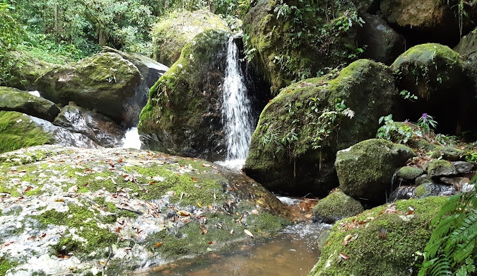 Parque Natural do Braço Esquerdo