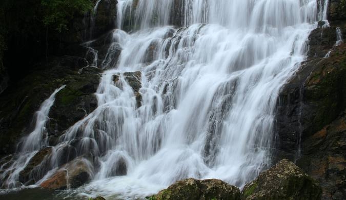 Parque Natural do Braço Esquerdo