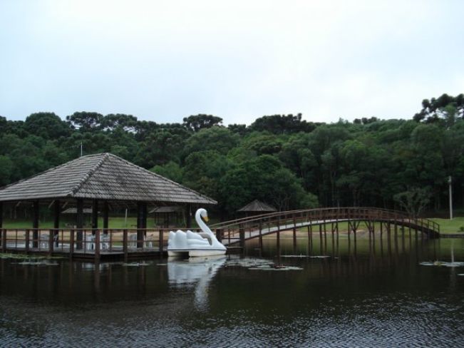 Arvorezinha