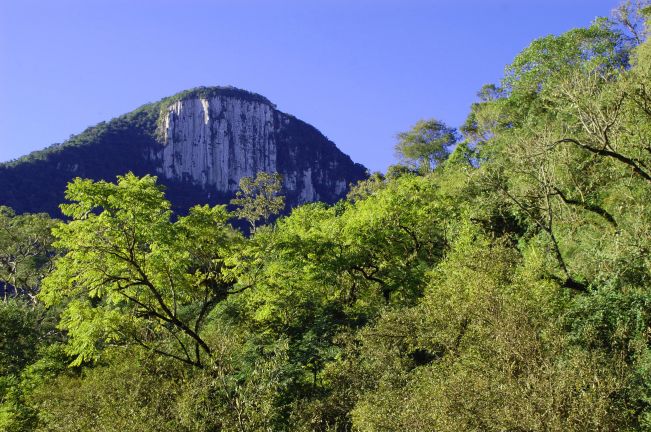 Centro Serra