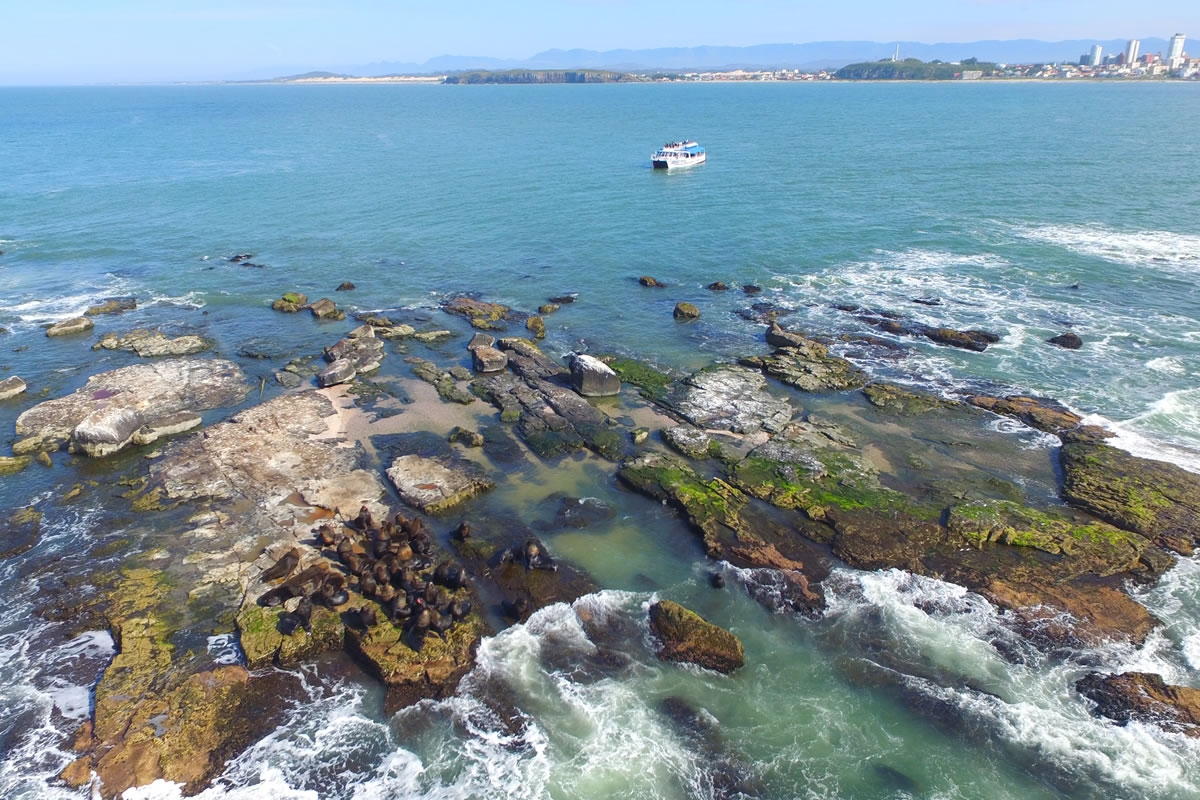 Ilha dos Lobos
