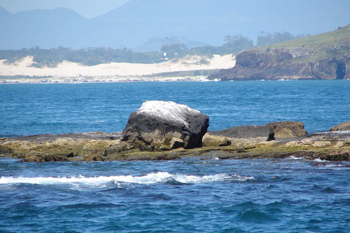 Ilha dos Lobos