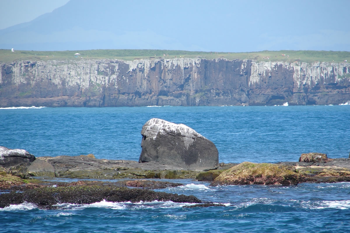 Ilha dos Lobos