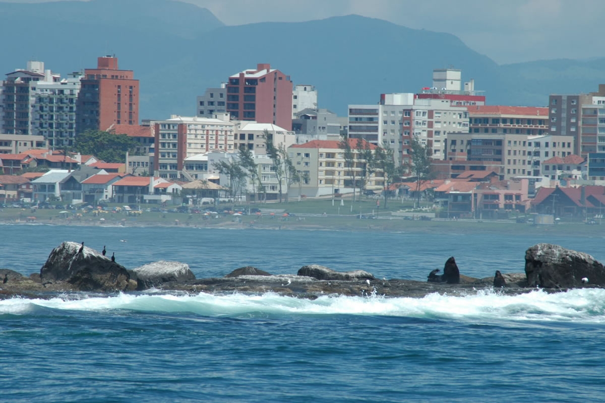 Ilha dos Lobos