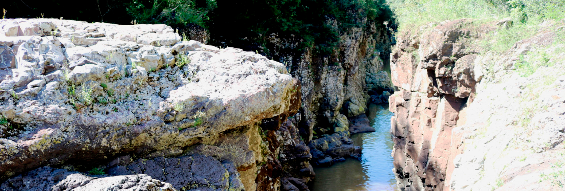 São José do Cedro