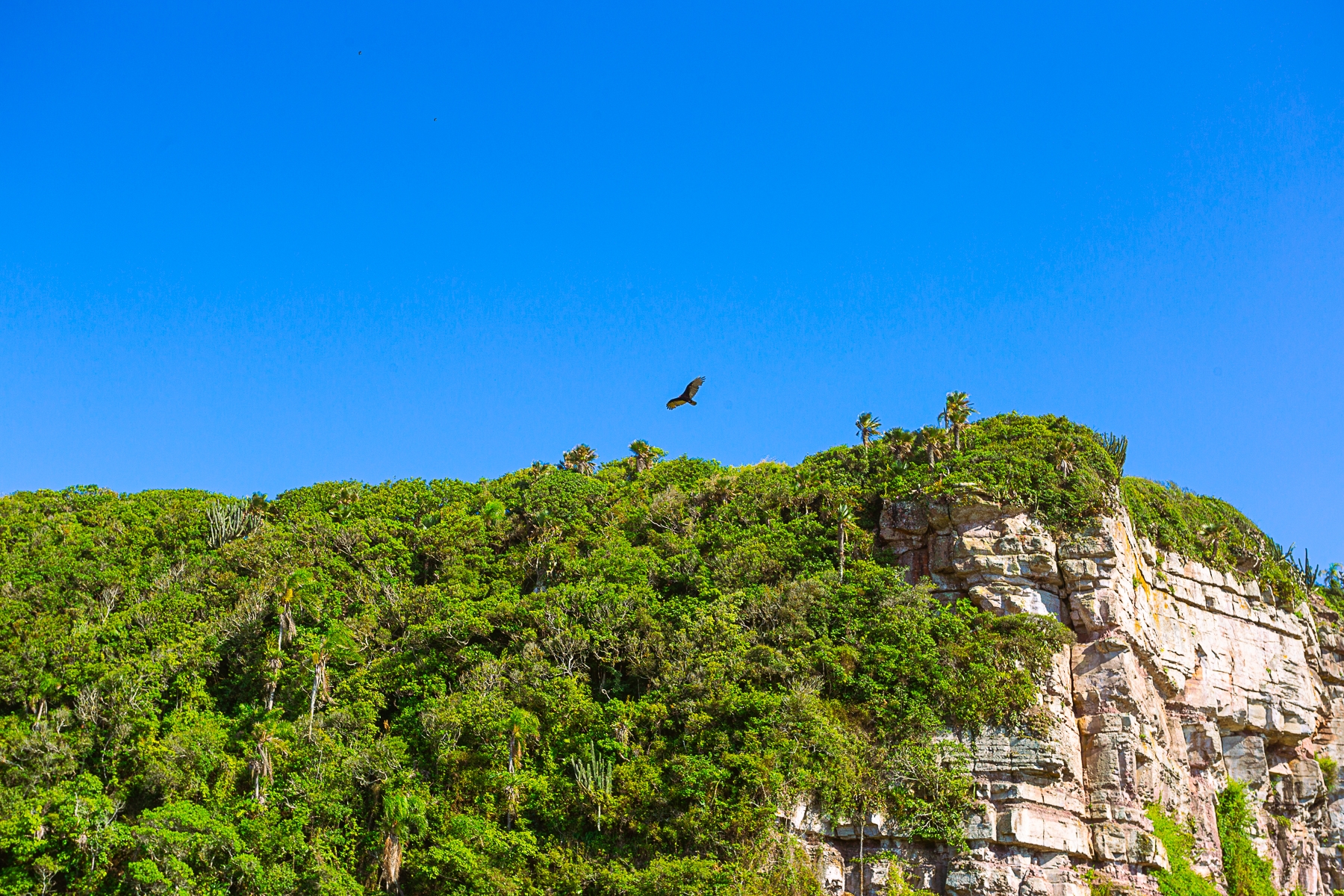 MORRO DOS CONVENTOS