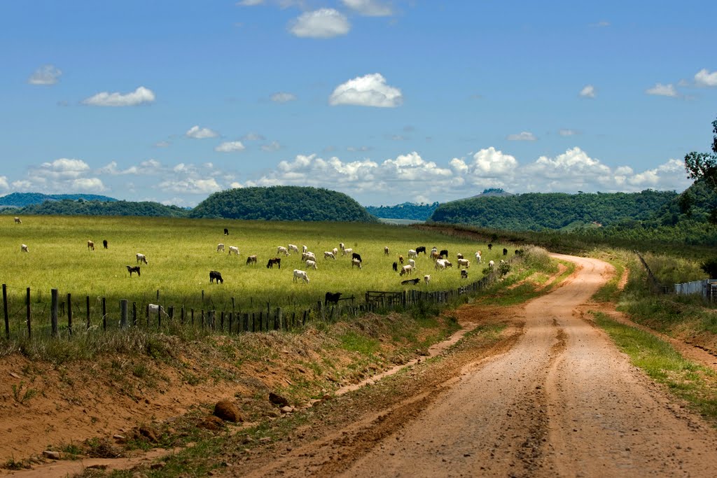 São Pedro do Sul