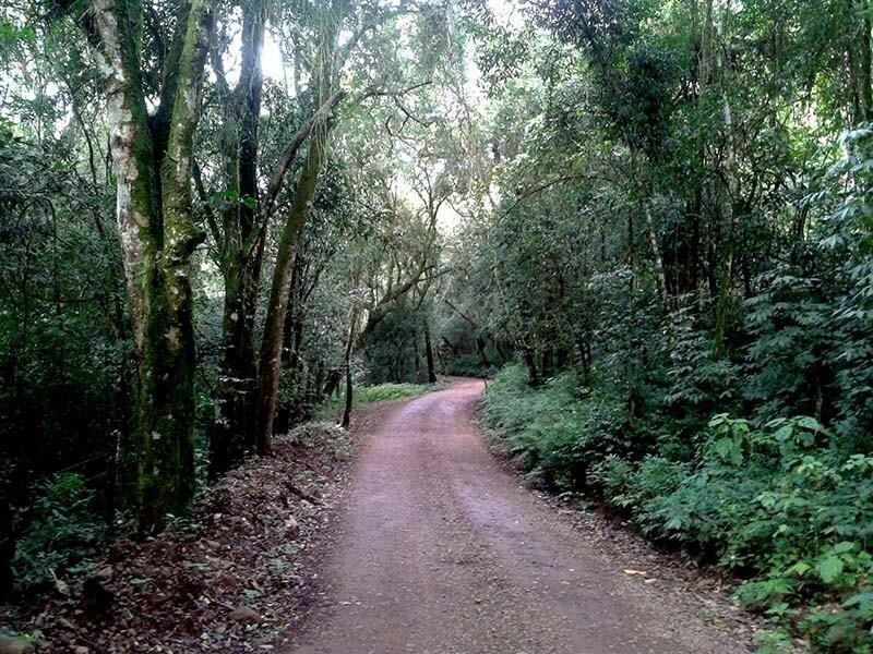 Bom Princípio