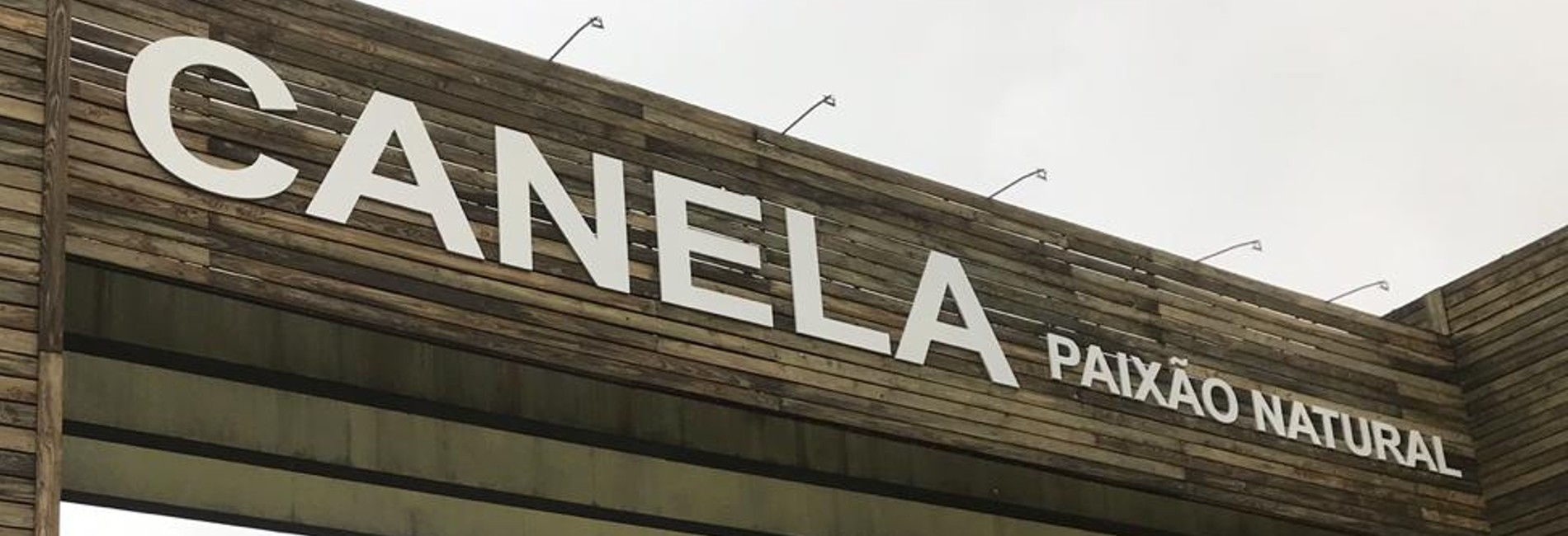 Canela