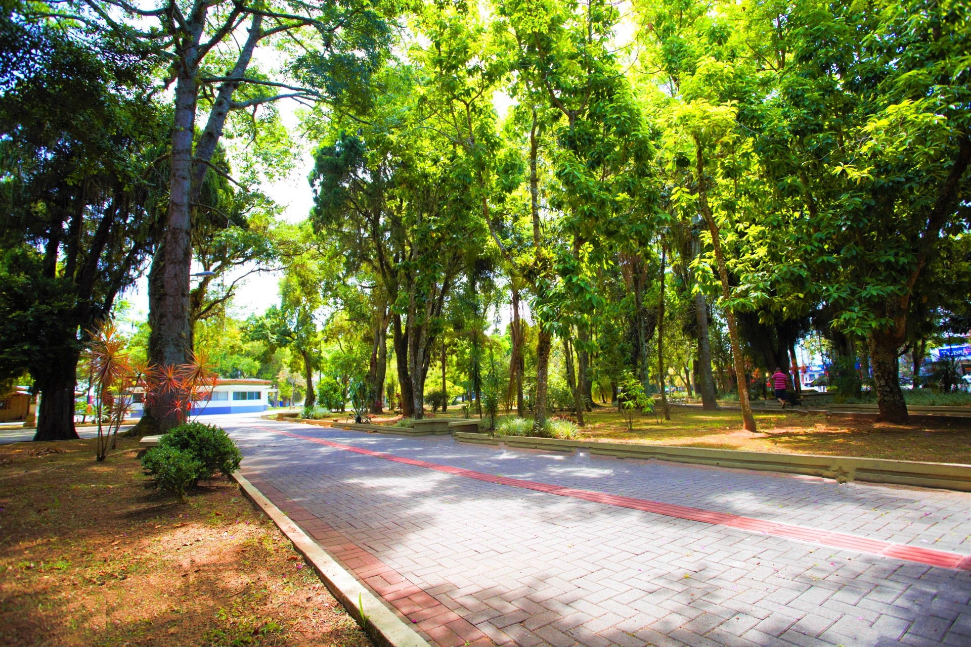 Praça Hercílio Luz