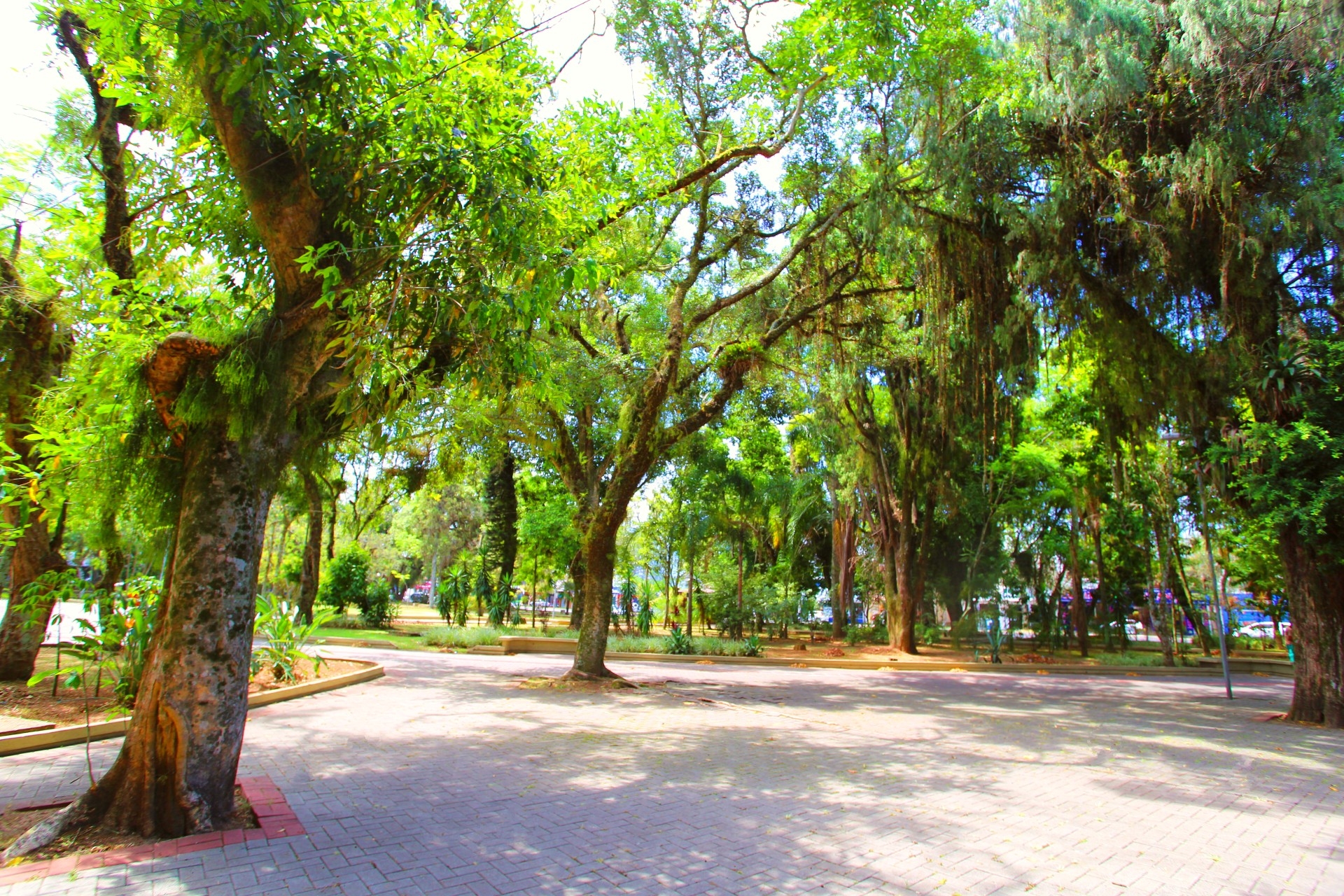 Praça Hercílio Luz