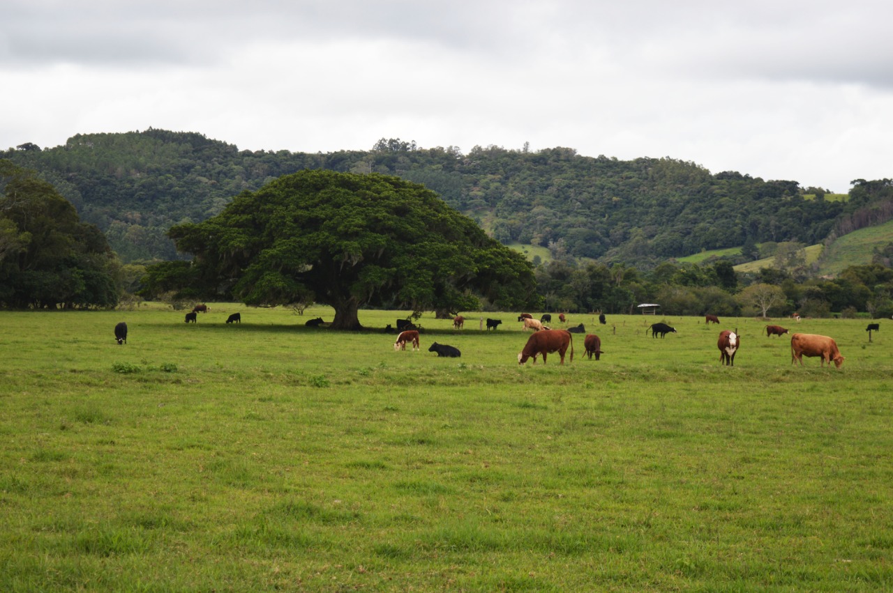 Vale do Paranhana