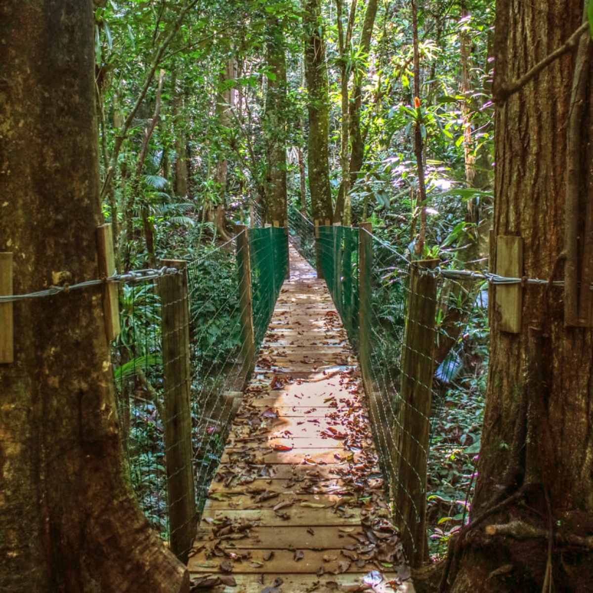 AGUAI SANTUARIO ECOLOGICO