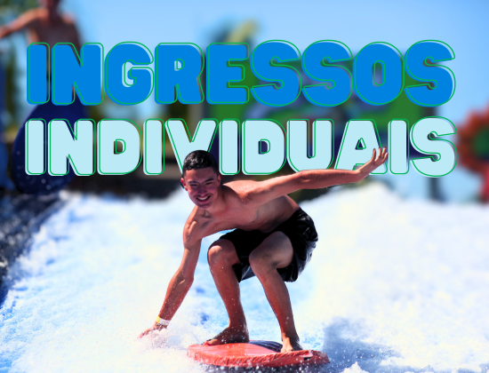 INGRESSOS INDIVIDUAIS