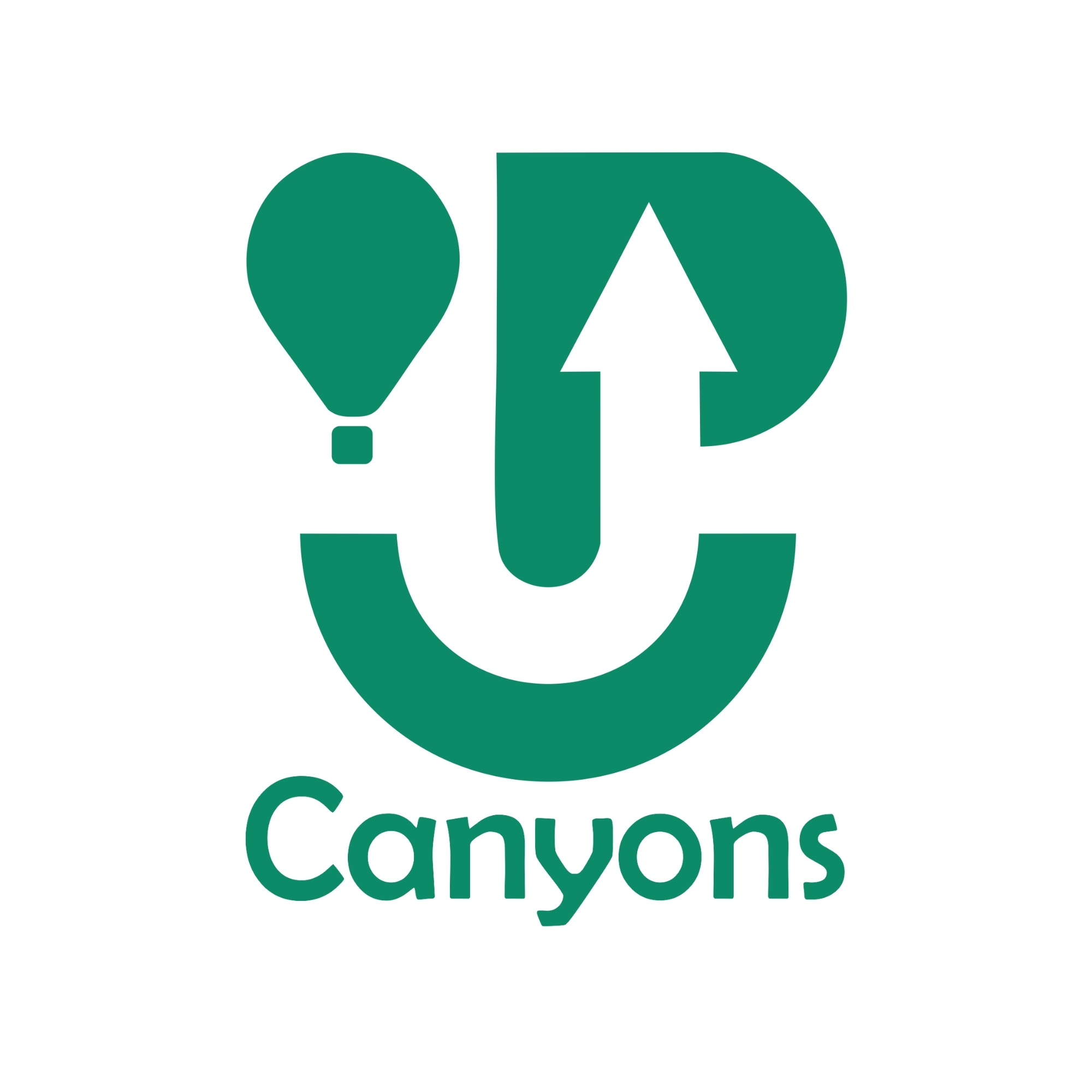 Up Canyons Balonismo