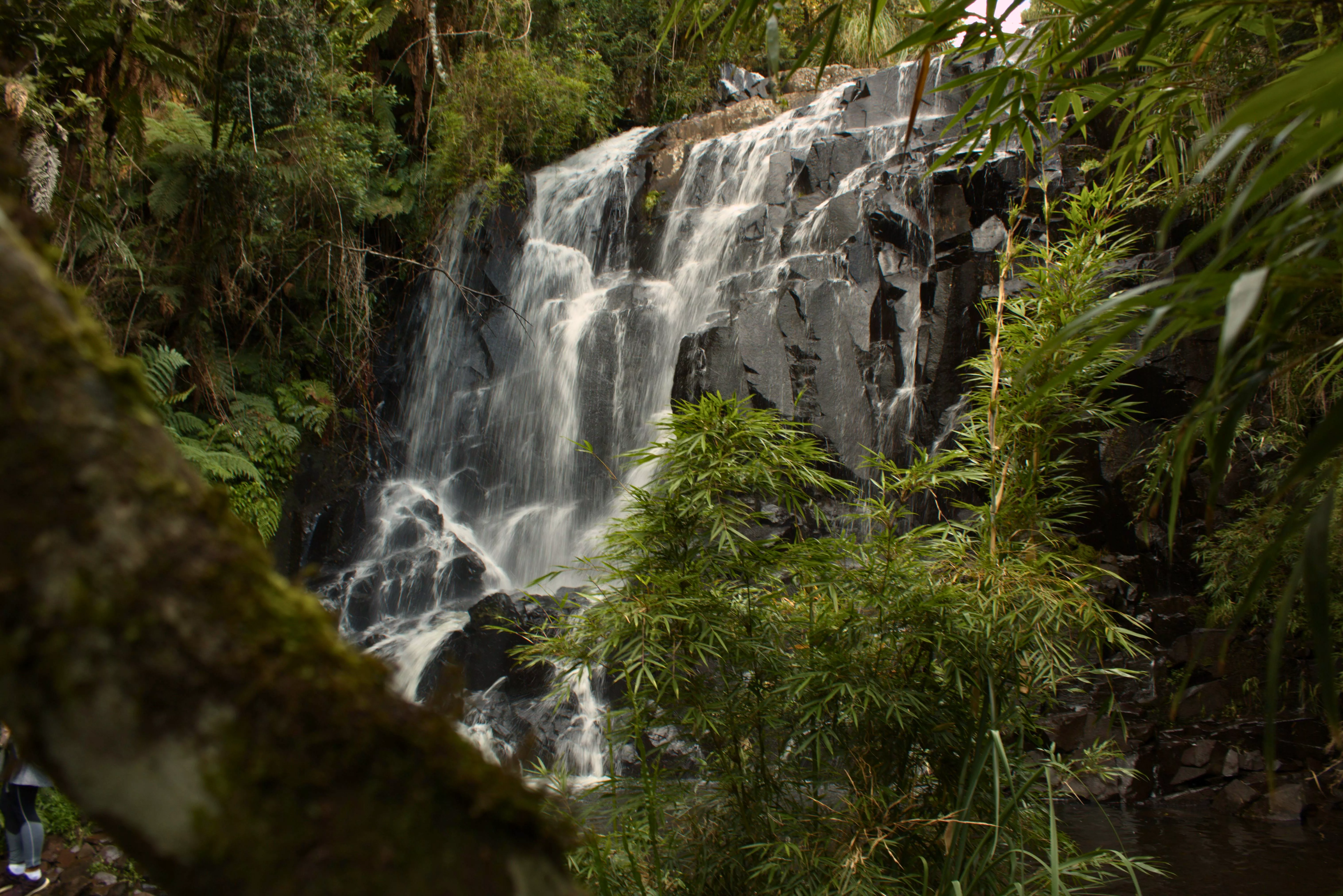 Ecoparque Casca Véu de Noiva