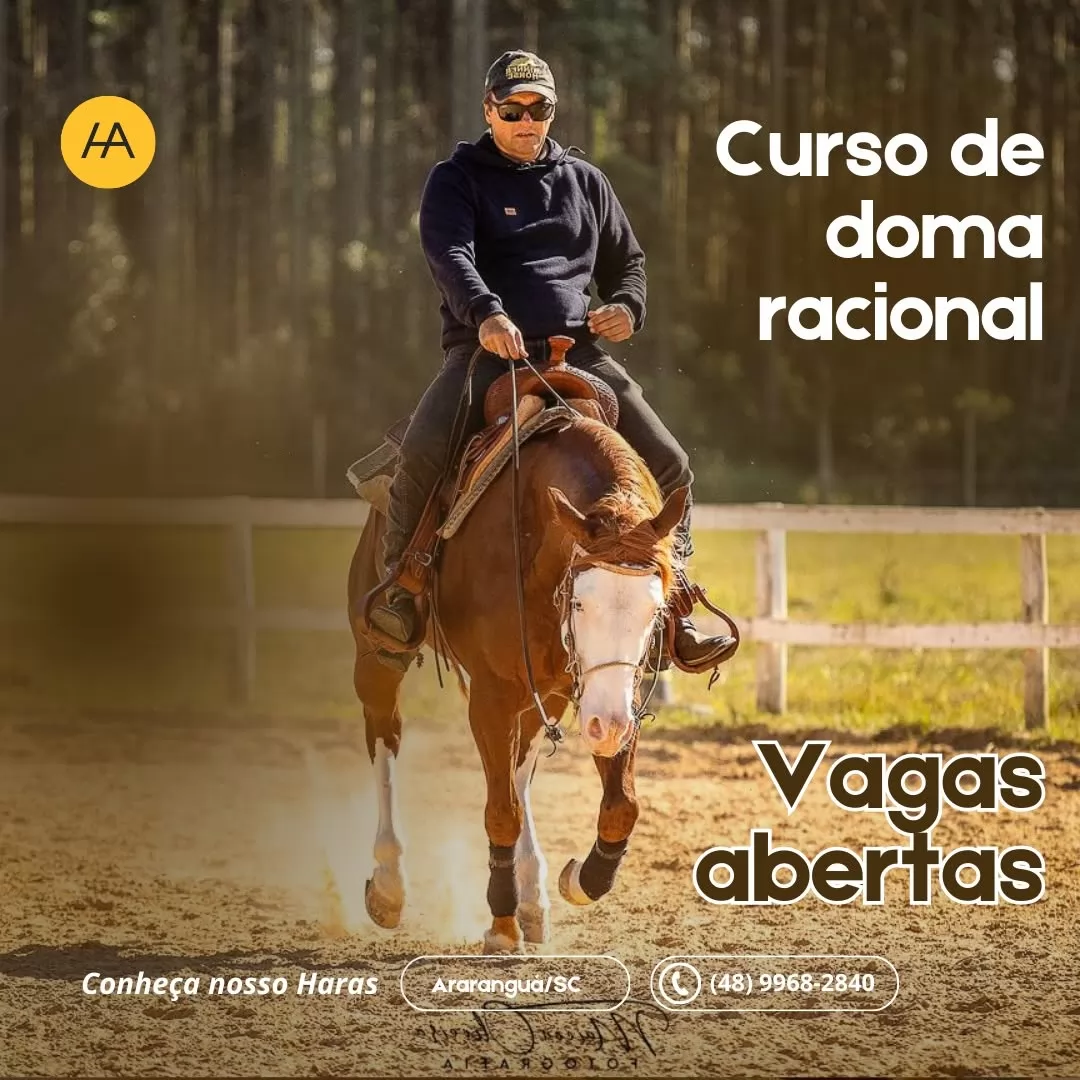 Curso de doma - Ingresso Individual - Adulto